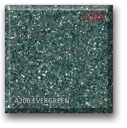 a206_evergreen