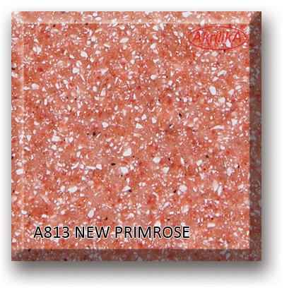 a813_new_primrose
